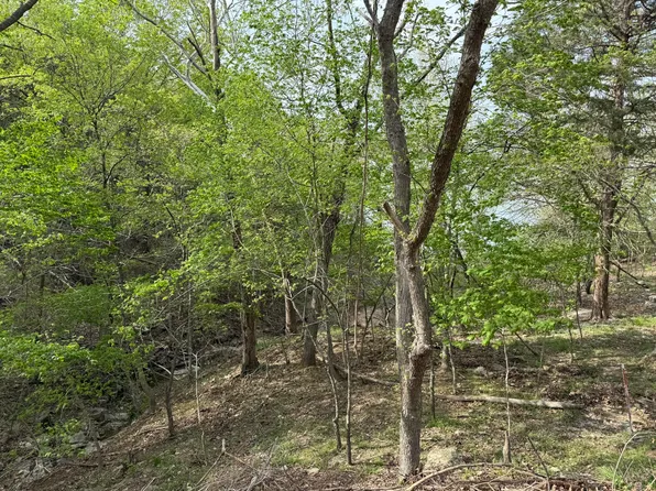 000 Rocky Top Rd, Shell Knob, MO 65747