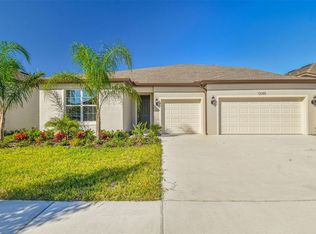 12085 Orchid Ash St, Riverview, FL 33579