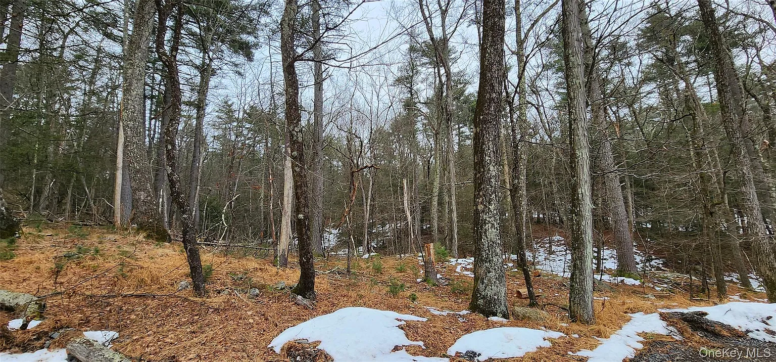 Deer Hill Road photo 1