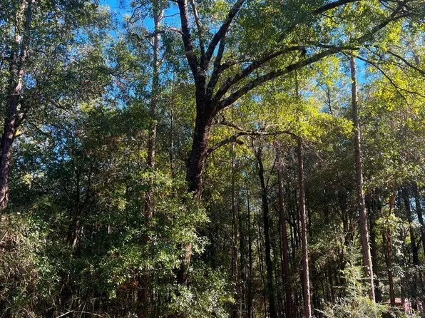 Riverchase Rd, Milton, FL 32583
