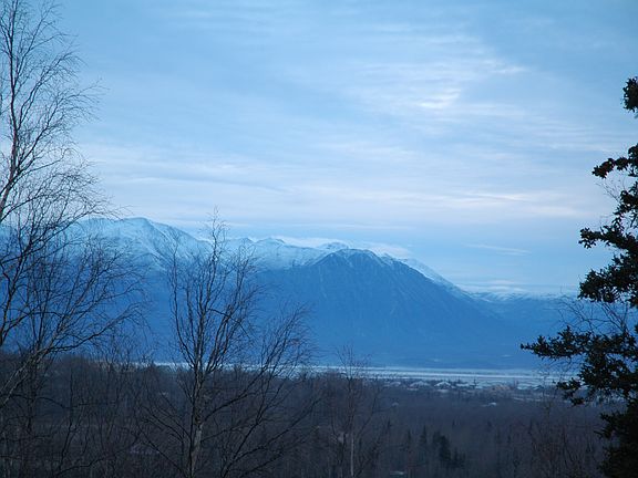 View from yard