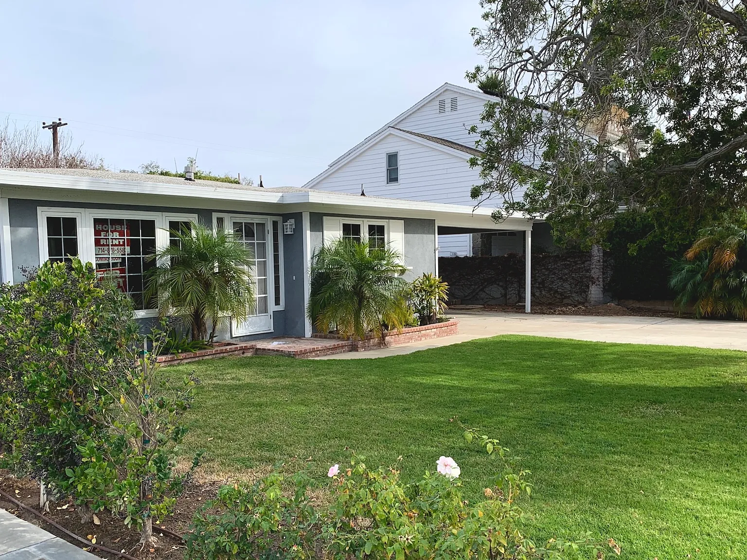 3 bed, 2400 sqft, $7,800 — Photo 2