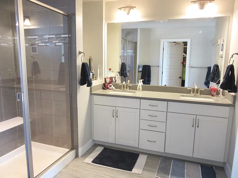 Master Bathroom with large shower and adjacent big walk-in closet