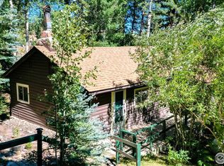 147 Ski Rd, Allenspark, CO 80510