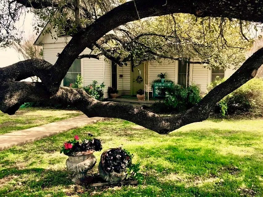 3 bed, 1569 sqft, $1,300 — Photo 1