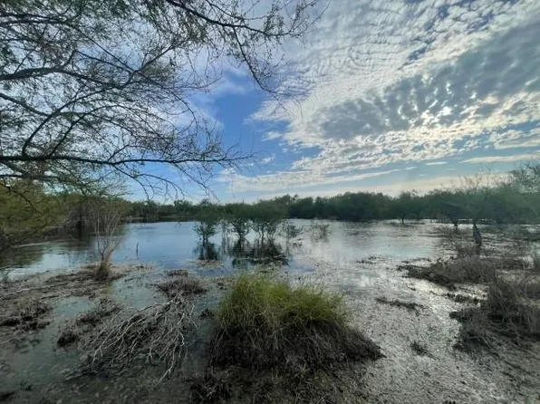 Fm 2687, Zapata, TX 78076