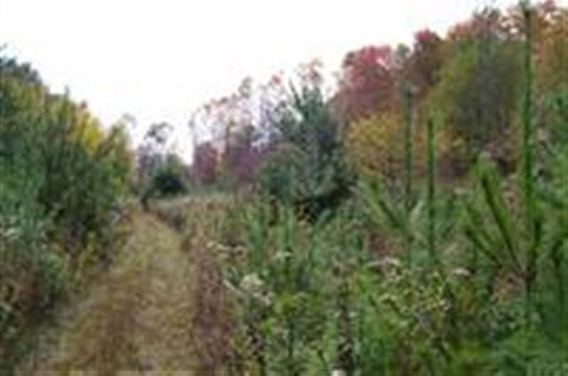 4th image of Lot 3 DUNHAM POND Road
