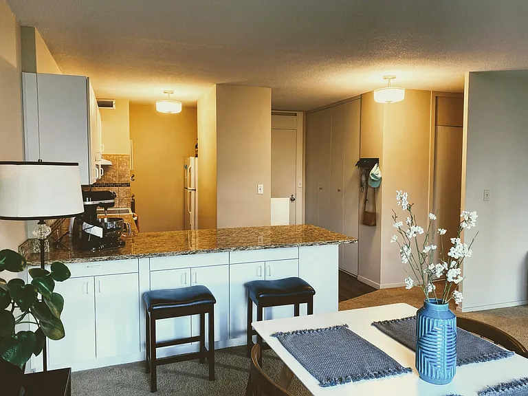 19 S 1st St #B803 — Photo 9