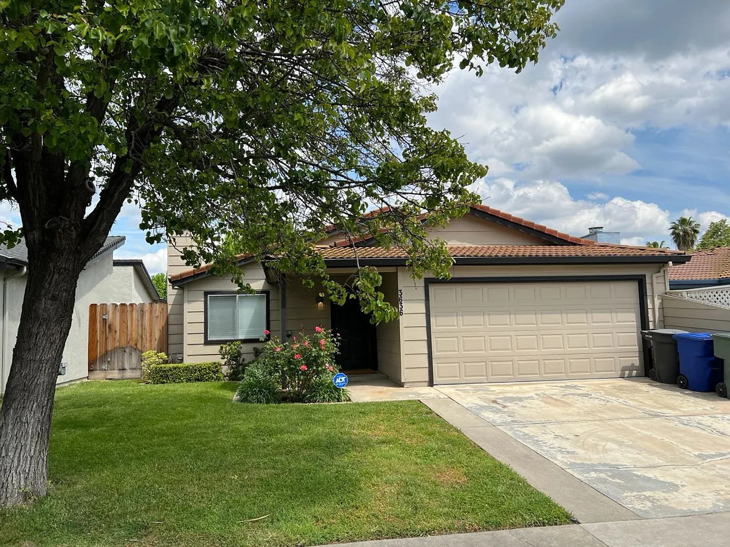 3636 Almeria Dr photo 1
