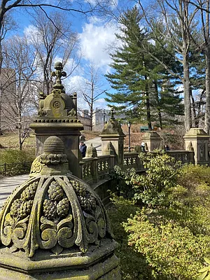 Rented by Voro NYC | media 22