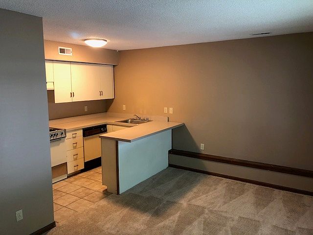 Kitchen and living room area.