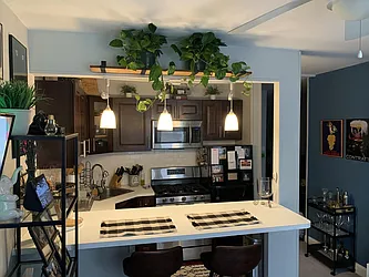 Rented by Triplemint