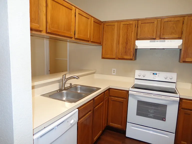 323 Iberis Dr — Photo 6