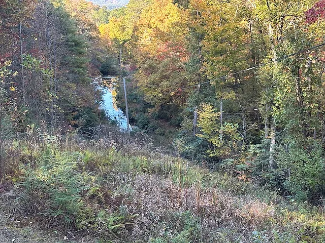 460 Tallent Rd — Photo 16