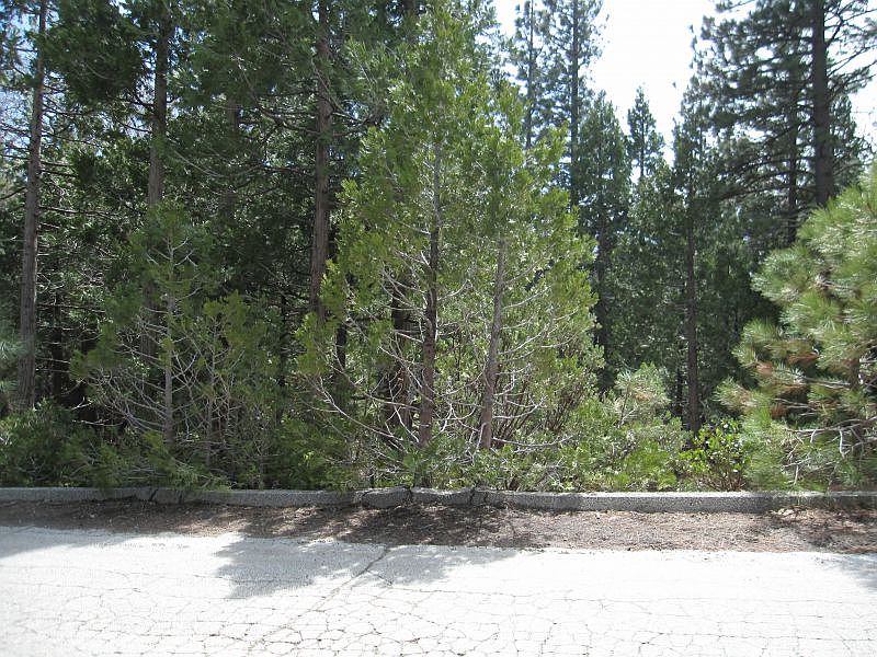 1st image of 1406 Pinecone Ct