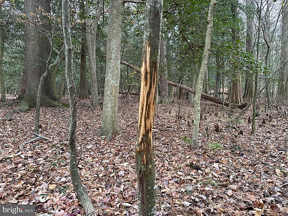 4th image of 0 Fleming Mill Rd