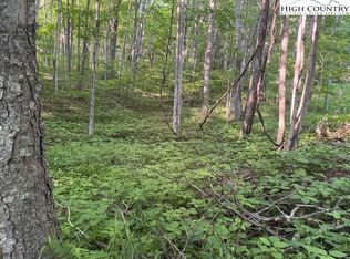 58 Beechwood Cir, Creston, NC 28615