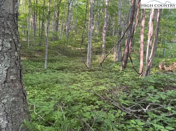Lot 58 Beechwood Circle, Creston, NC 28615