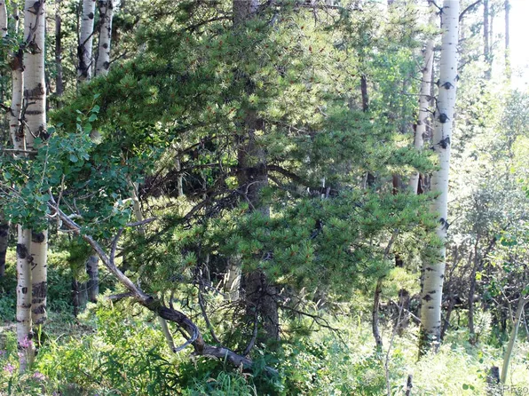 Lot 028 Sunflower Lane LOT 28, Black Hawk, CO 80422