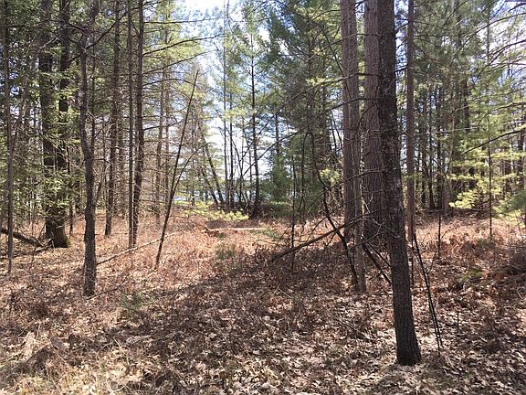 3rd image of 4643 Oakwood Dr