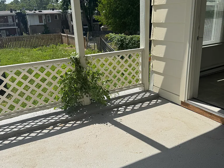58 Elizabeth St #58 — Photo 17
