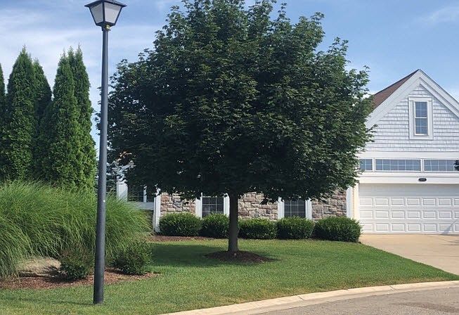 1st image of 10820 Canterbury Ln