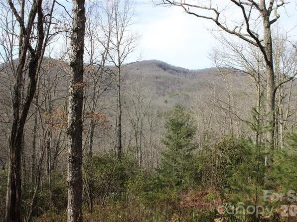 Lots 82 & 83 Waterdance Dr, Tuckasegee, NC 28783
