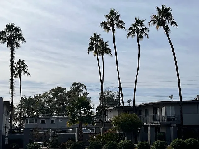 2 bed, 800 sqft, $1,700 — Photo 1