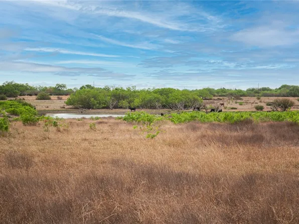 W Fm 738, Orange Grove, TX 78372