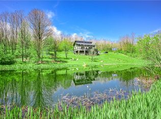 11355 Symonds Trl, Prattsburgh, NY 14873