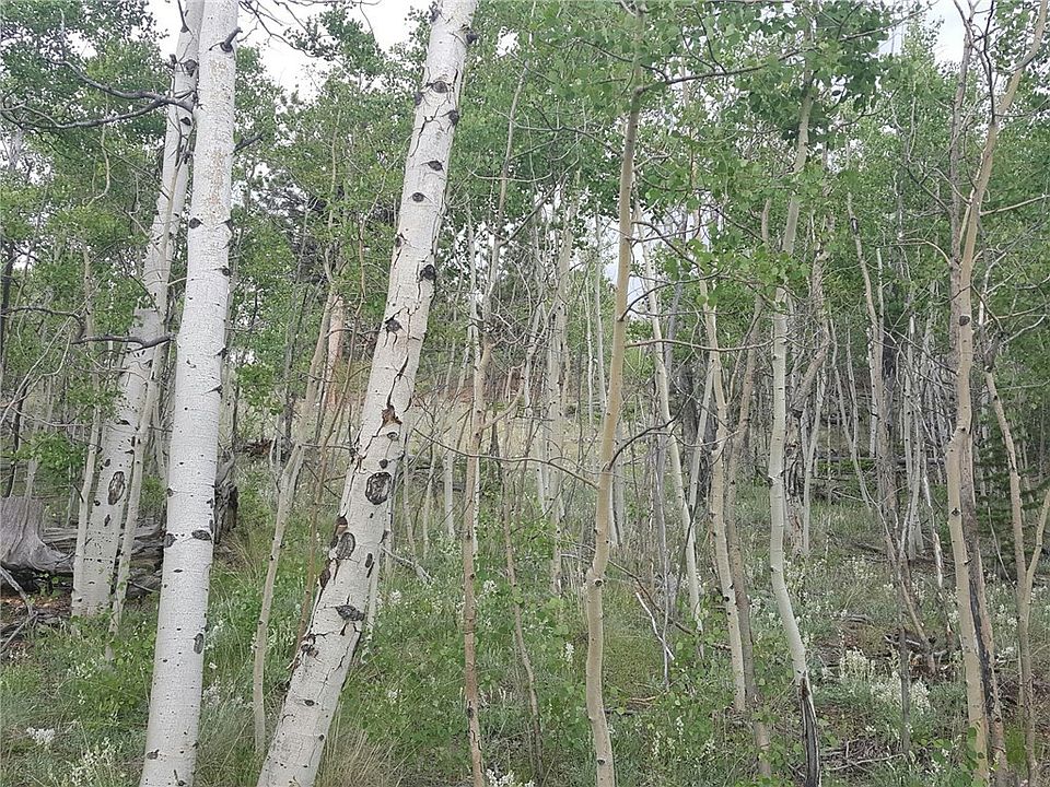 2nd image of 4379 GOLDENBERG CANYON