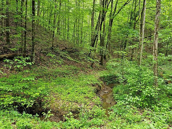 5th image of LOT 9 Deer Trail Way