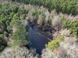 TRACT County Road 4037 #D, Timpson, TX 75975