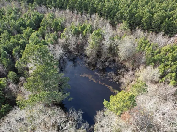 TRACT County Road 4037 #D, Timpson, TX 75975