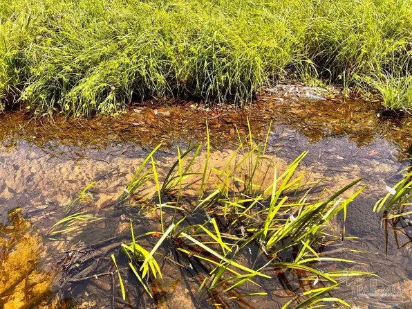 95 Turning Leaf Rd, Jay, FL 32565