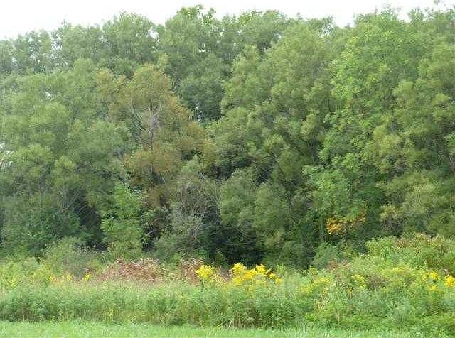 2nd image of 4142 County Road 18