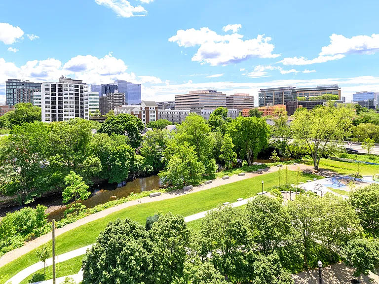 Park Views. Mill River Park has over 1 million invested offering Bark Park, Dog trails, Sunrise Yoga, Get Fit classes, Carousel, playground, Hey Stamford Food Festival, Live music and more!