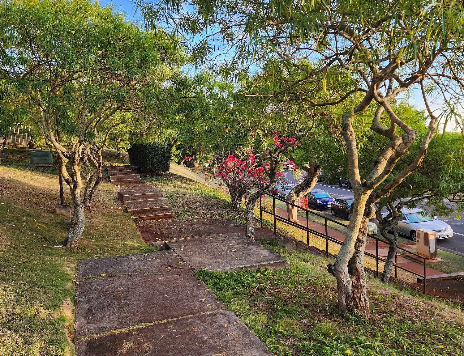 2 bed, 1.5 bath, 813 sqft, $2,495 — Photo 2