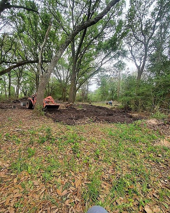 Partially Cleared few years ago