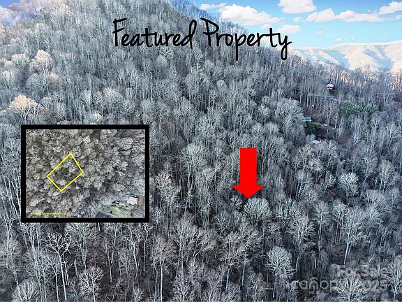 2nd image of Vireo Ln