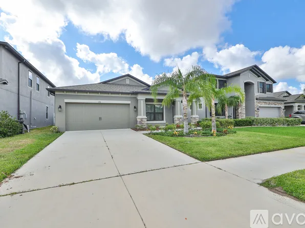 11411 Amapola Bloom Ct, Riverview, FL 33579