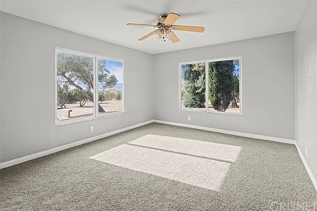 34716 Violan St — Photo 21