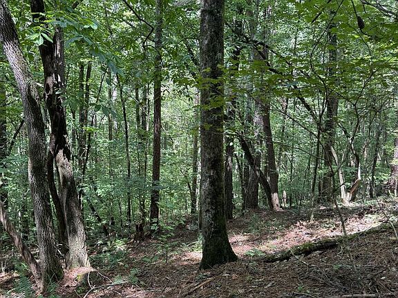 3rd image of 1707 Rebekah Ridge Rd