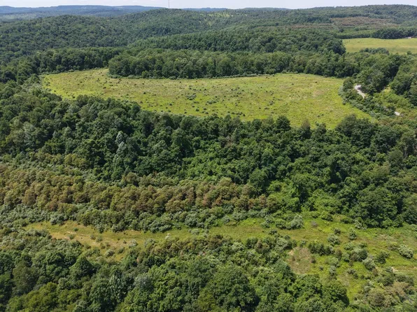 0 Wall Farm Rd #Wp001, Grampian, PA 16838
