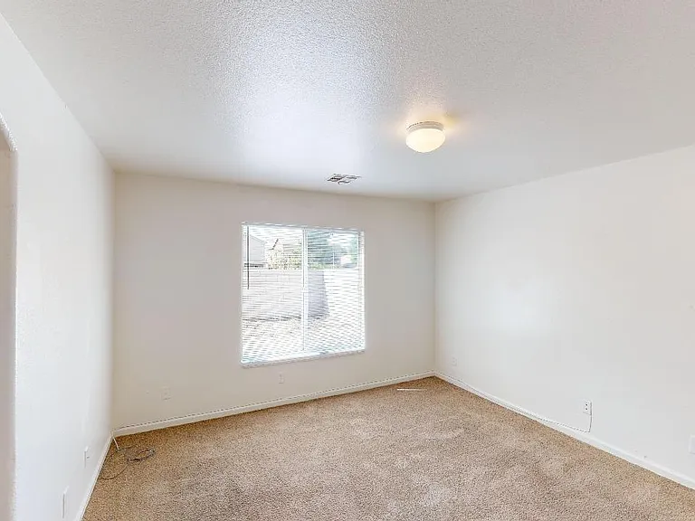 10005 Mystic Dance St — Photo 19