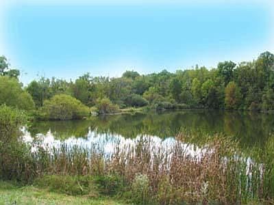 1st image of 8433 Heron Lake Dr