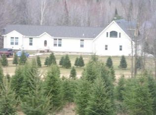 N11466 Hutchins Aniwa Town Lane Rd, Birnamwood, WI 54414