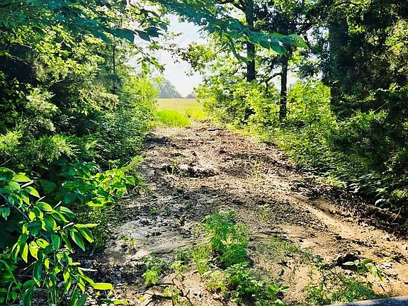 2nd image of 41 County Road 3212