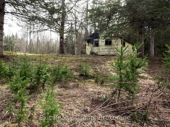 3606 County Road 620, North Kawartha, ON K0L 1A0