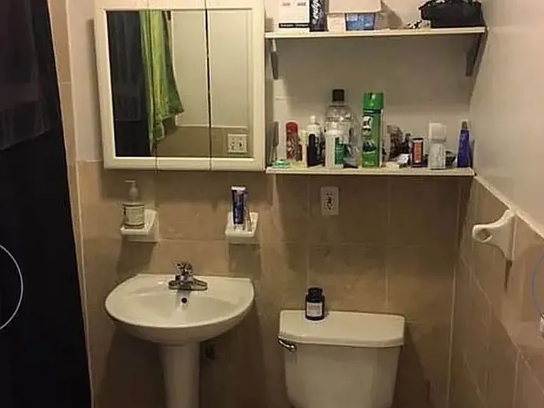 247 Eldridge St #2A — Photo 5